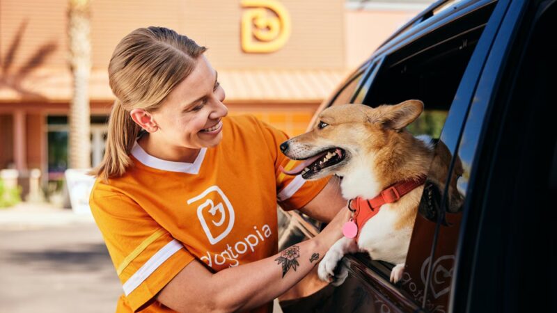 Dogtopia of Orland Park - Orland Park, IL
