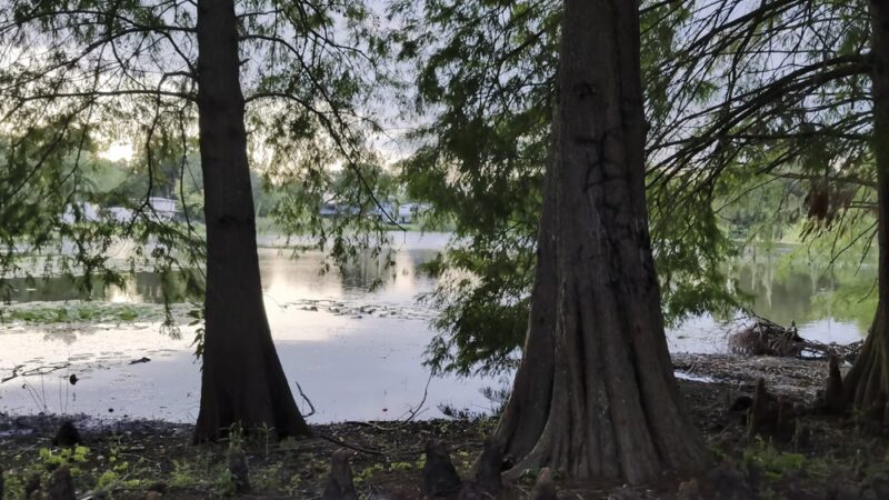 Crystal Lake Park - Orlando, FL