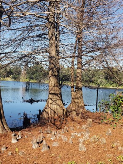 Crystal Lake Park - Orlando, FL