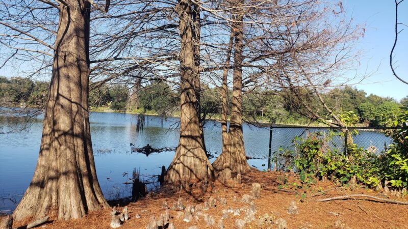 Crystal Lake Park - Orlando, FL