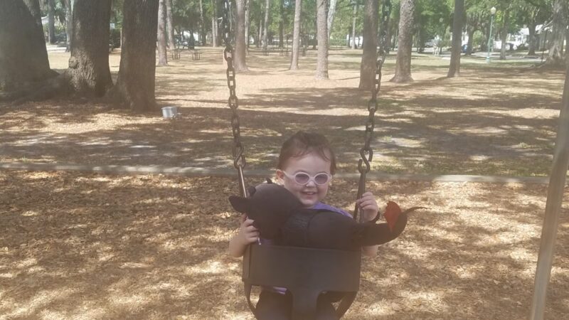 Dartmouth Park - Orlando, FL