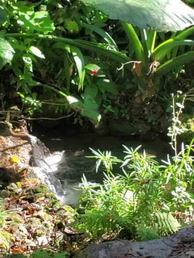 Dickson Azalea Park - Orlando, FL