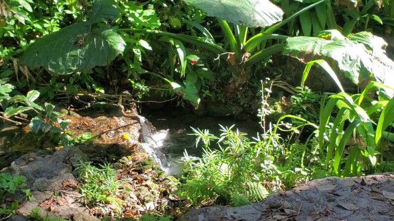 Dickson Azalea Park - Orlando, FL