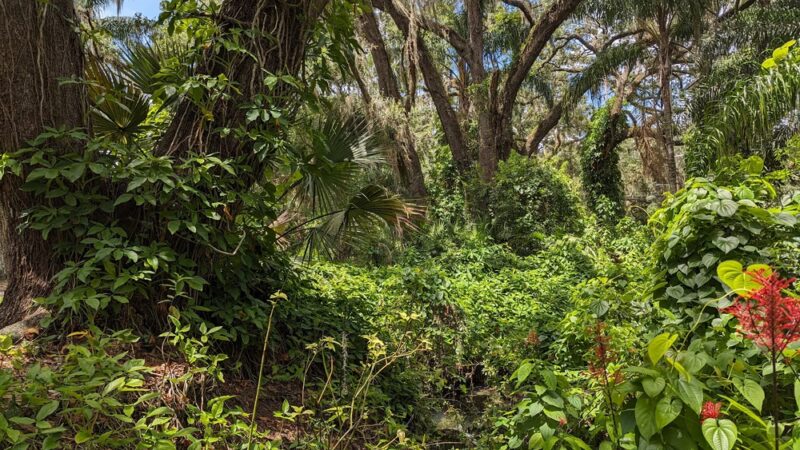 Dickson Azalea Park - Orlando, FL