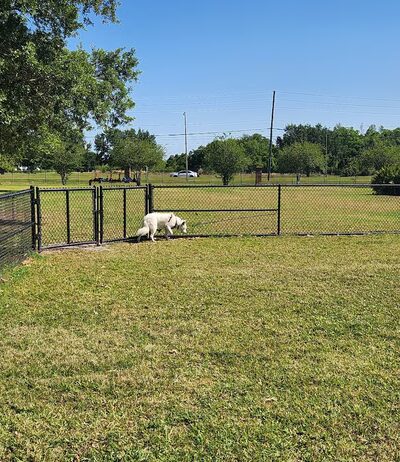 Dog Park - Orlando, FL