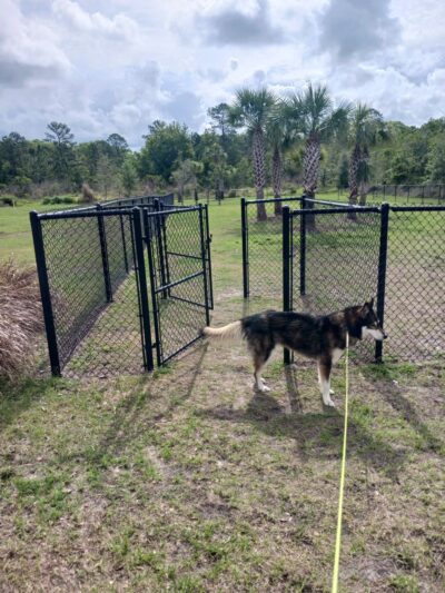 Dog Park - Orlando, FL