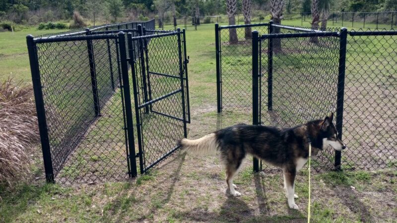 Dog Park - Orlando, FL