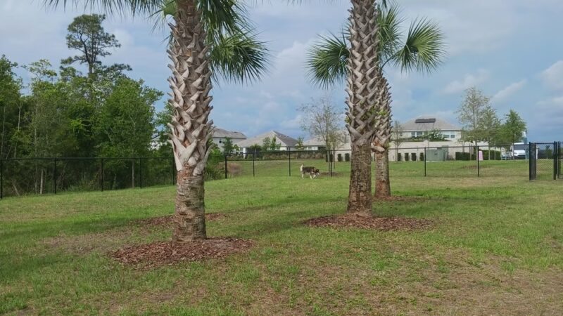 Dog Park - Orlando, FL