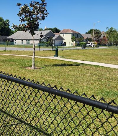 Dog Park - Orlando, FL
