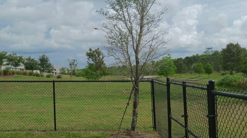 Dog Park - Orlando, FL