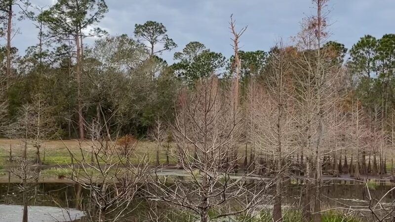 Eagle Nest Park - Orlando, FL