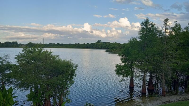 Eagle Nest Park - Orlando, FL