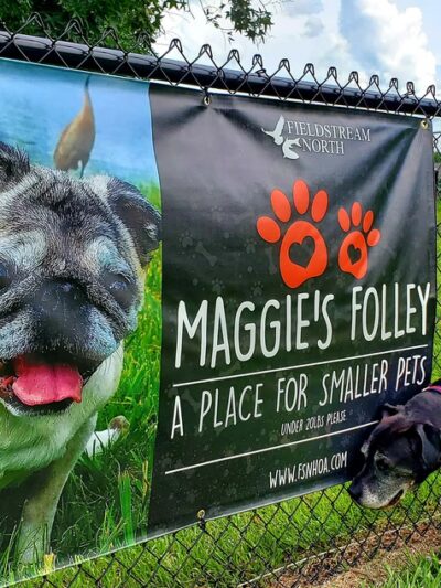 Fieldstream North Dog Park & Playground - Orlando, FL