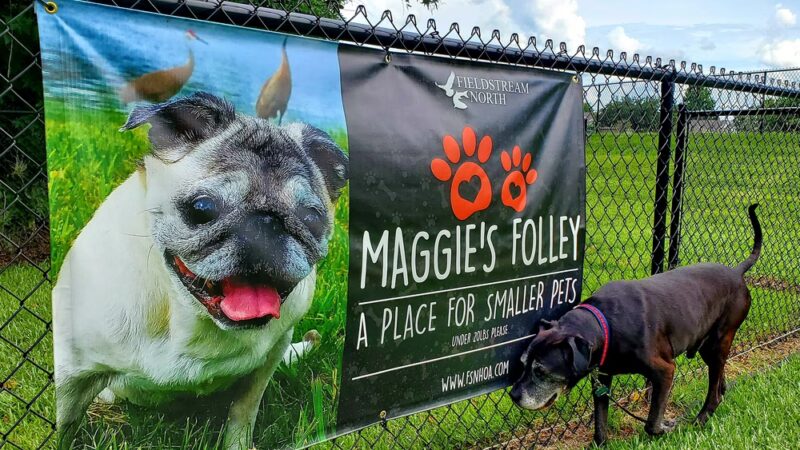 Fieldstream North Dog Park & Playground - Orlando, FL