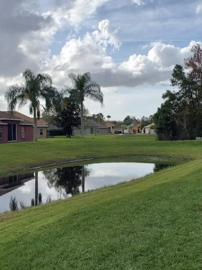 Fieldstream North Dog Park & Playground - Orlando, FL