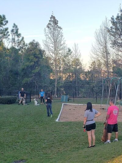 Fieldstream North Dog Park & Playground - Orlando, FL