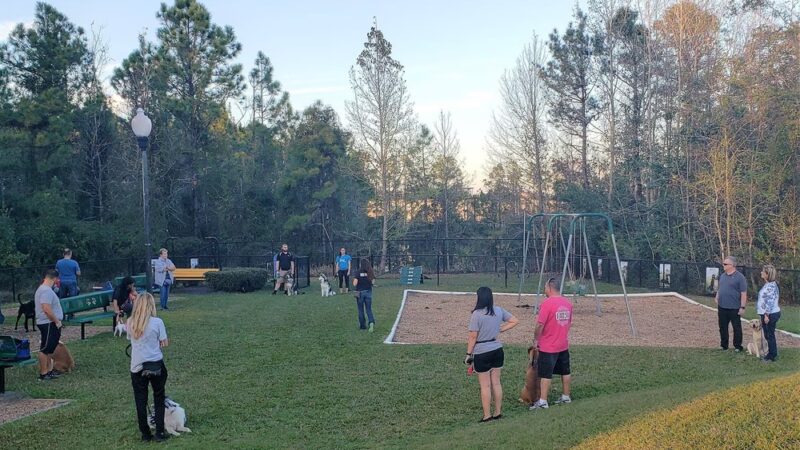 Fieldstream North Dog Park & Playground - Orlando, FL