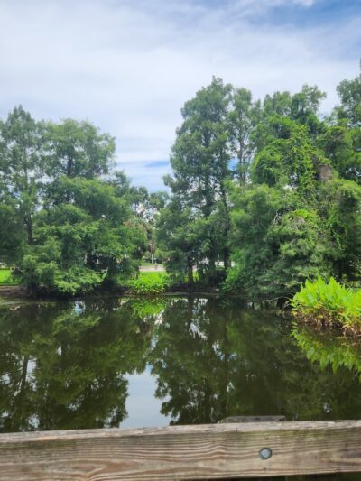 Guernsey Park - Orlando, FL