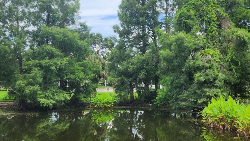 Guernsey Park - Orlando, FL