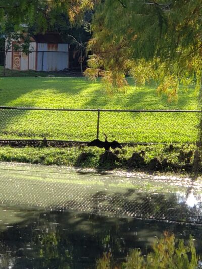 Guernsey Park - Orlando, FL