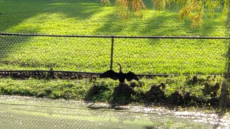 Guernsey Park - Orlando, FL