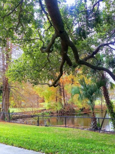 Guernsey Park - Orlando, FL