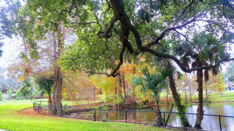 Guernsey Park - Orlando, FL