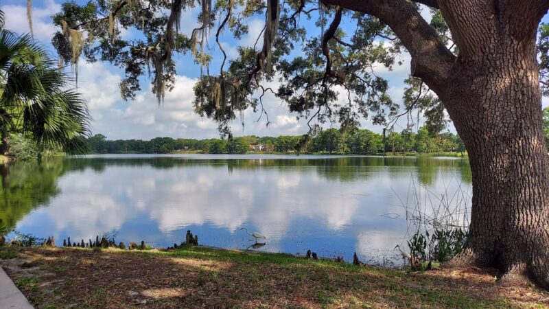 Lake Adair Park - Orlando, FL