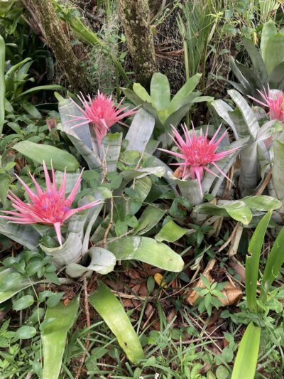 Lake Adair Park - Orlando, FL