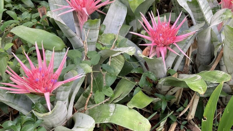 Lake Adair Park - Orlando, FL