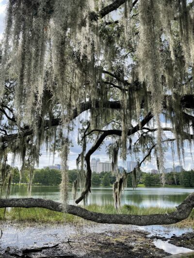 Lake Cherokee Park - Orlando, FL