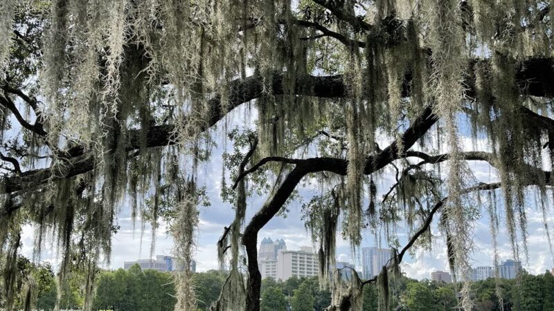 Lake Cherokee Park - Orlando, FL