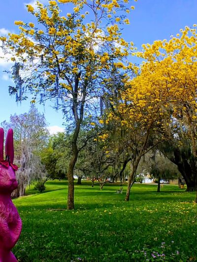 Lake Como Park - Orlando, FL