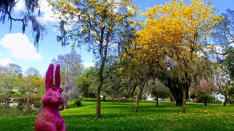 Lake Como Park - Orlando, FL