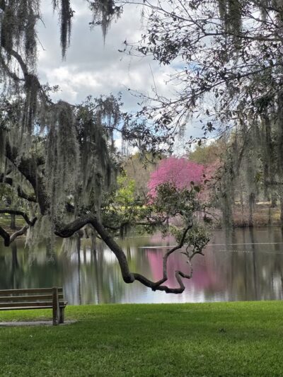 Lake Como Park - Orlando, FL