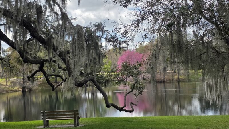 Lake Como Park - Orlando, FL