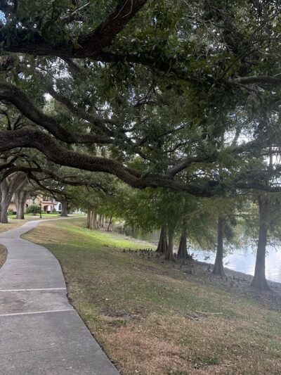 Lake Davis Park - Orlando, FL