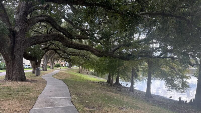 Lake Davis Park - Orlando, FL