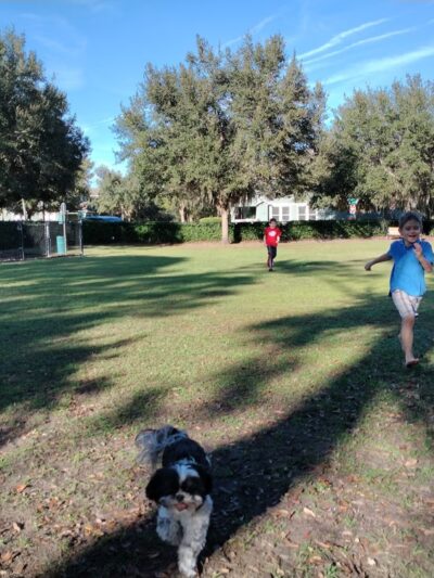 Lake District Dog Park - Orlando, FL