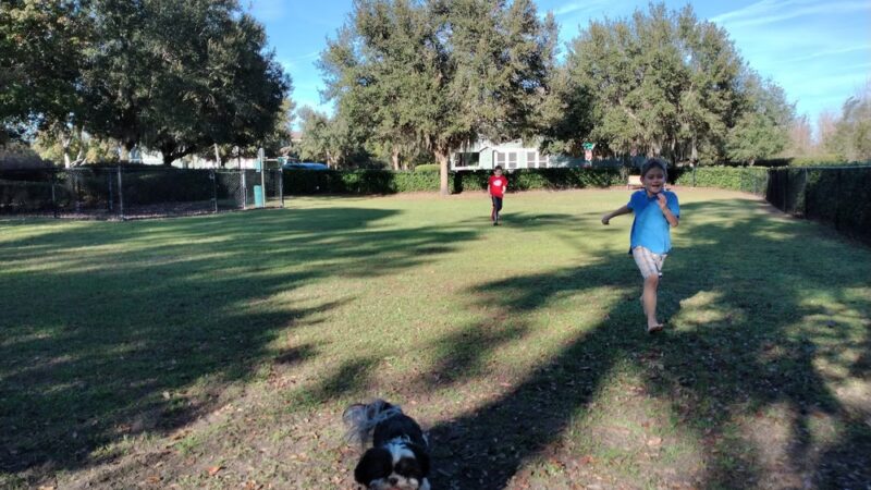 Lake District Dog Park - Orlando, FL