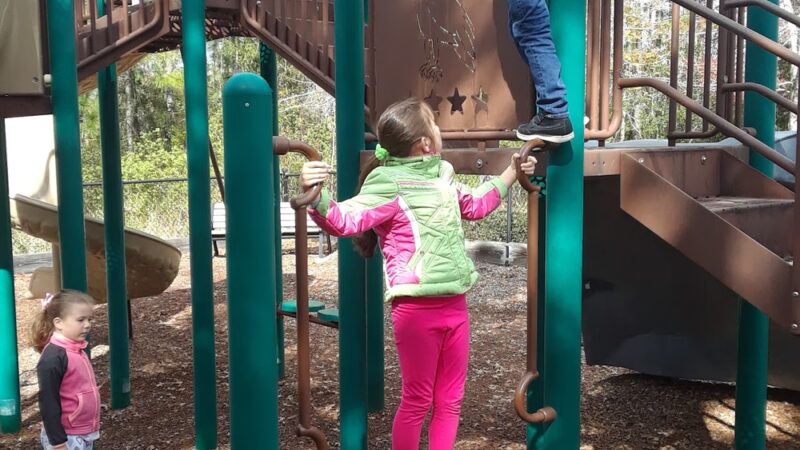 Lake District Dog Park - Orlando, FL