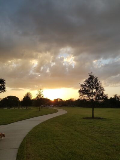 Lake Druid Park - Orlando, FL
