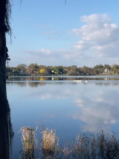 Lake Ivanhoe Park - Orlando, FL