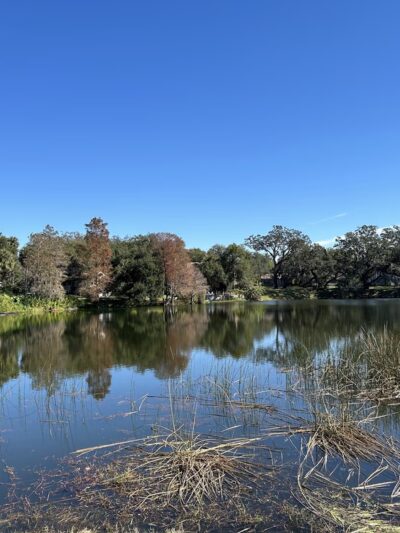 Lake Lawsona Park - Orlando, FL