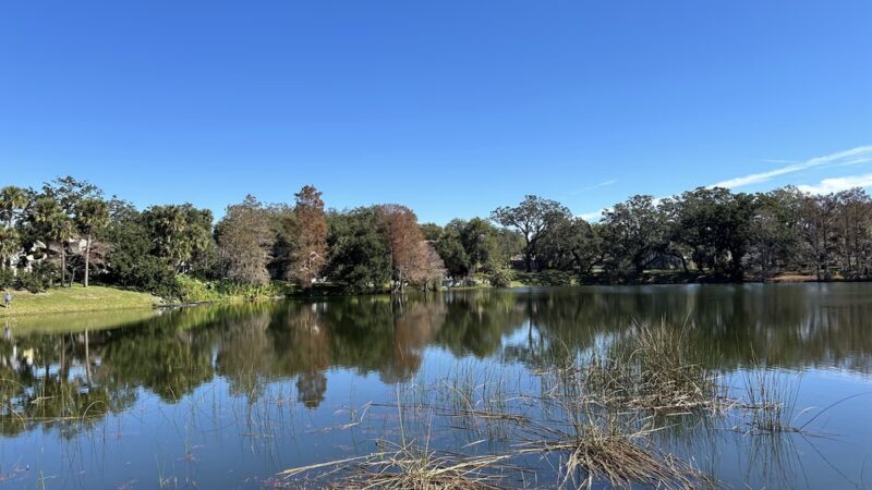Lake Lawsona Park - Orlando, FL