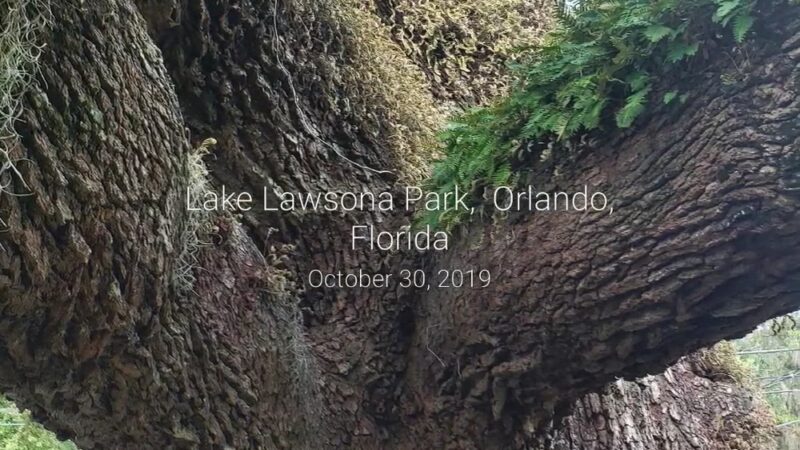 Lake Lawsona Park - Orlando, FL