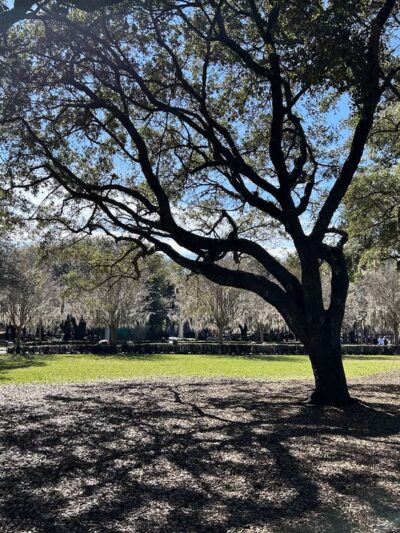 Lake Lawsona Park - Orlando, FL