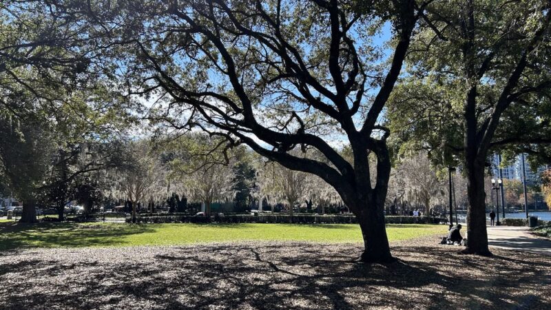 Lake Lawsona Park - Orlando, FL
