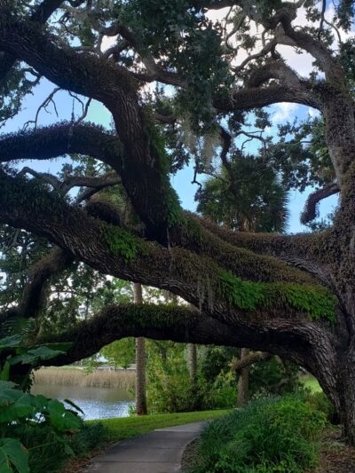 Lake Lawsona Park - Orlando, FL