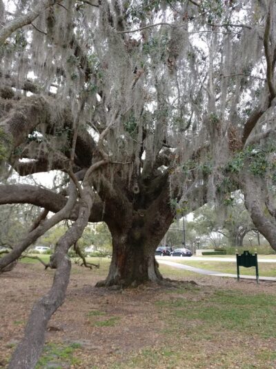 Loch Haven Park - Orlando, FL